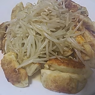 浜松餃子風　餃子料理